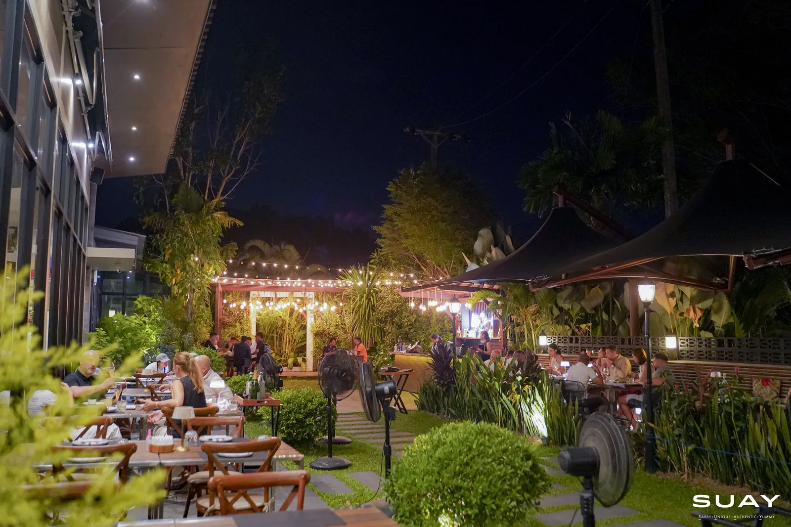 The garden under string lights